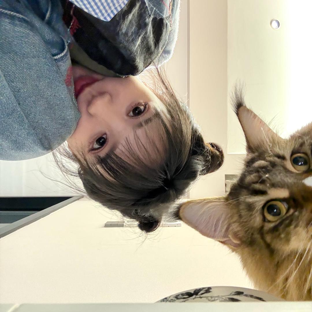 ꉂ • • ྀི ฅ