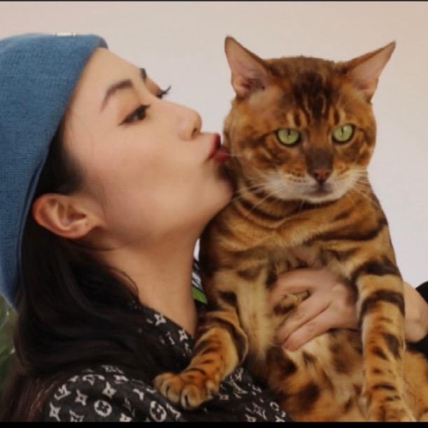 大王球儿