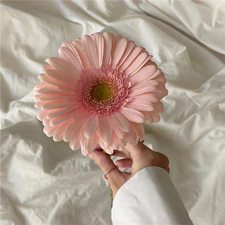 独一秀💕