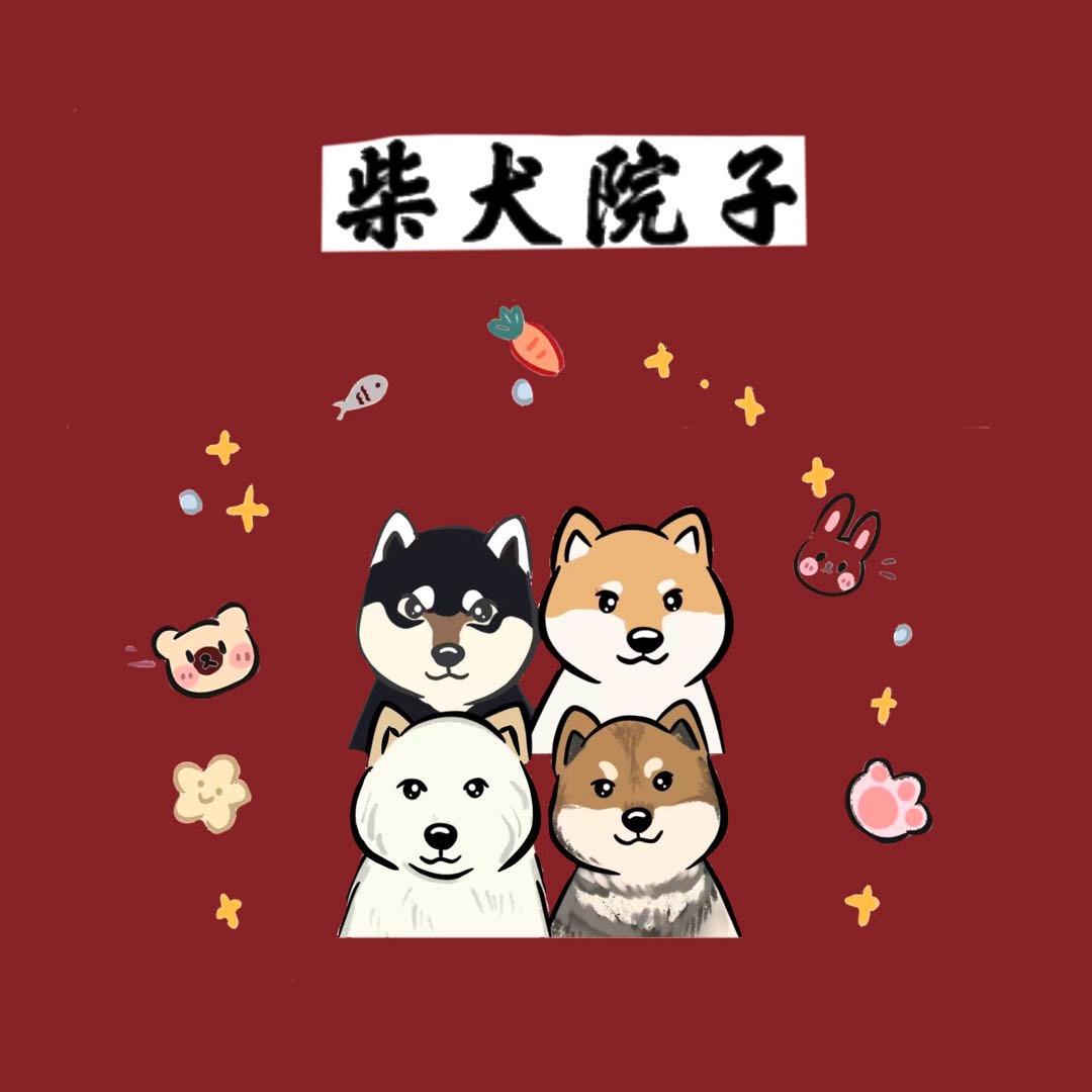 柴犬院子