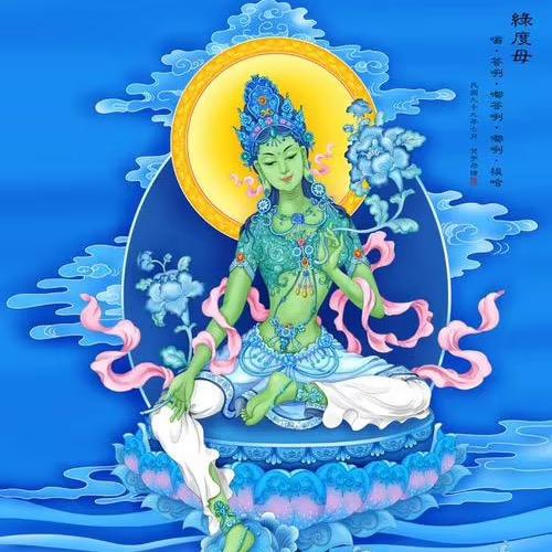 Mo姐