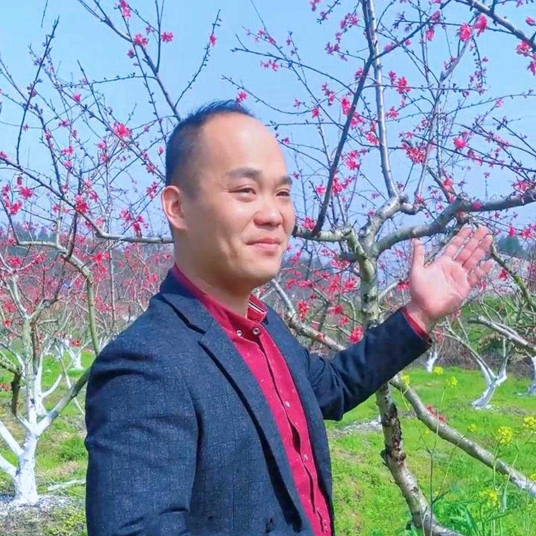 老王说事