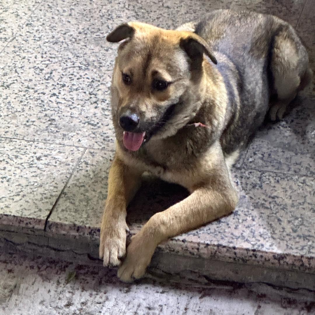 会发财的土豆🥔