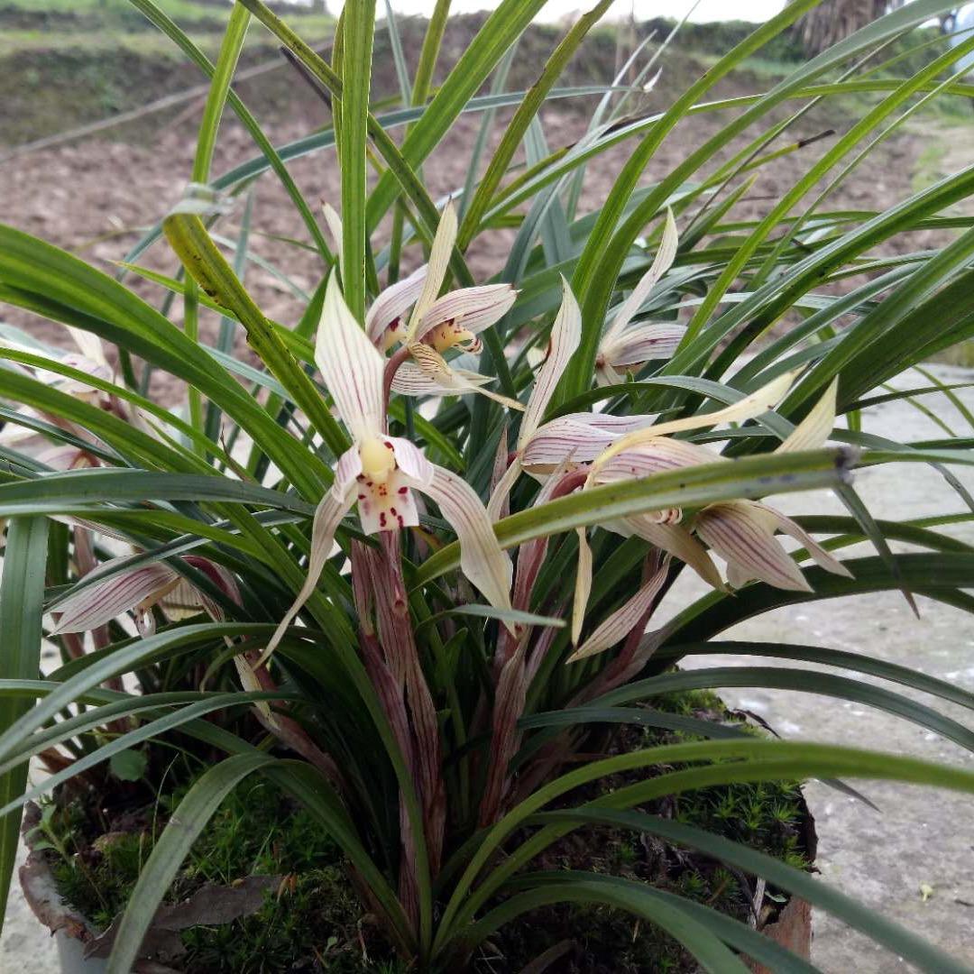 一❤️切❤️随❤️缘