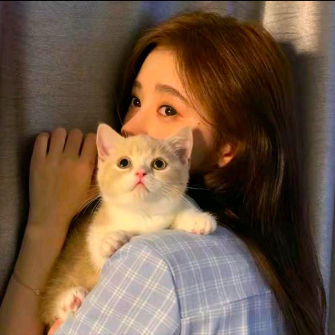 韩氏商贸(芜湖市瑞丰商博城店)sadad直播号