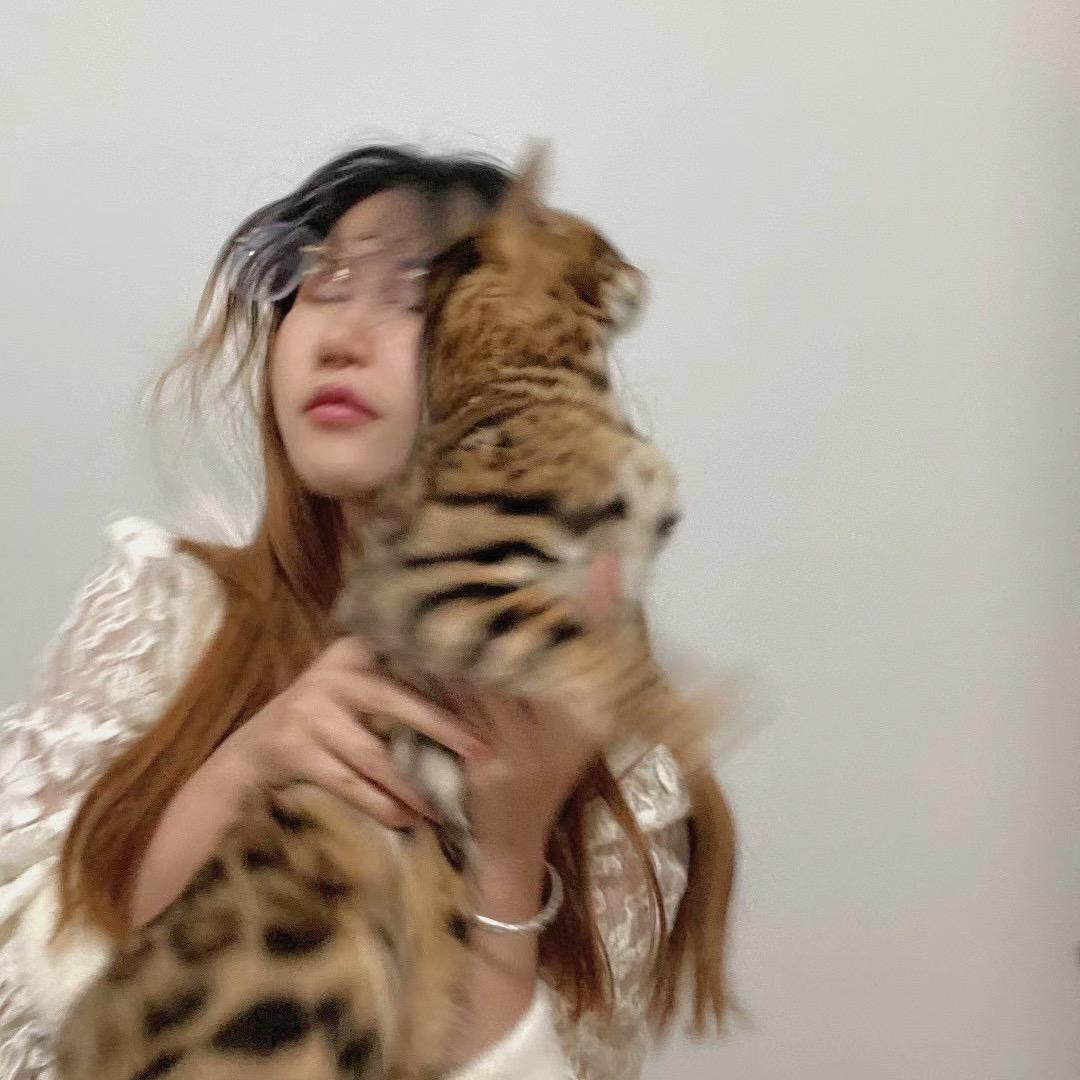 兔头加辣