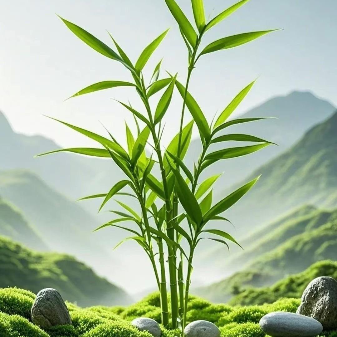 村里的《王大哥》