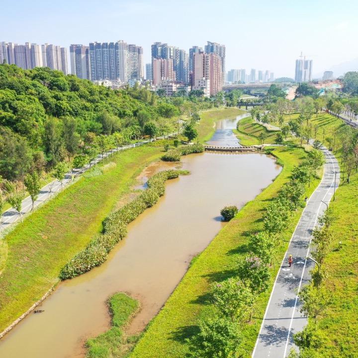 丰顺鸡爪