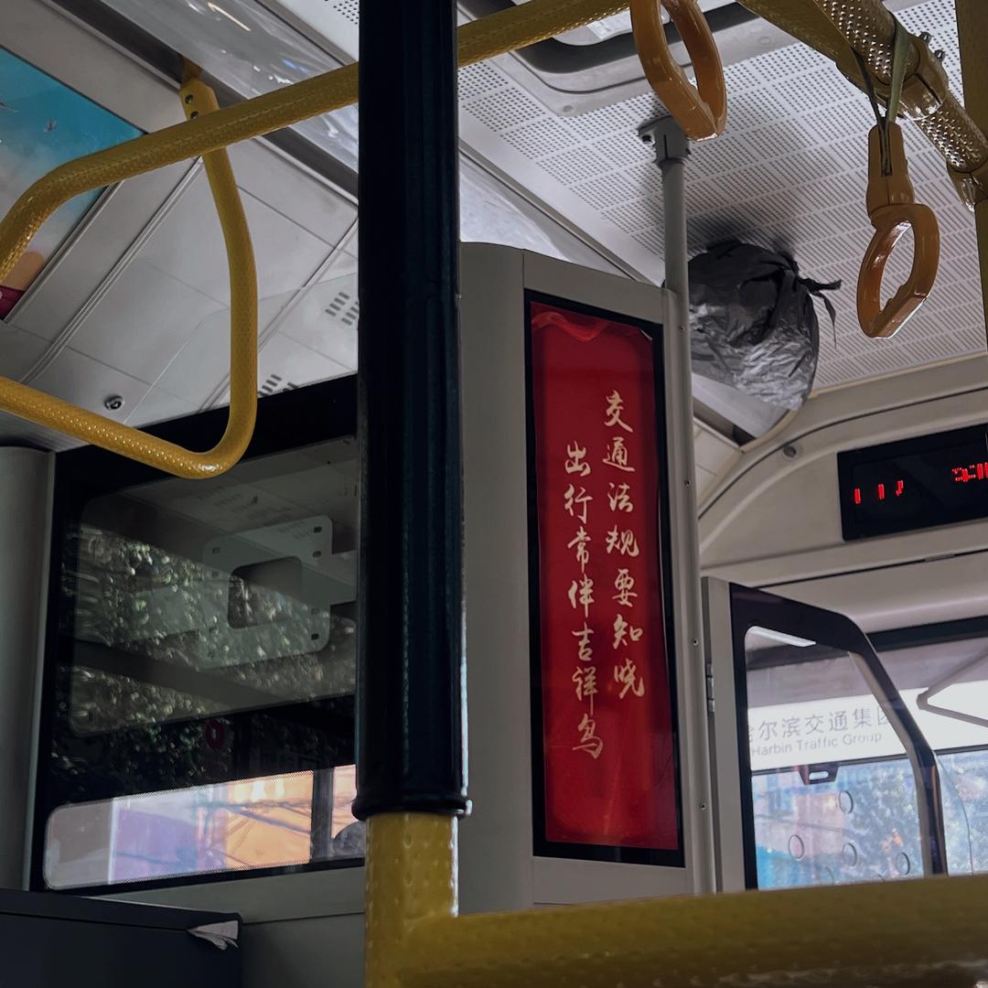 爱睡懒觉的懒羊羊