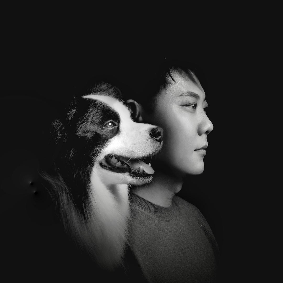 Cku城市犬舍-边境牧羊犬