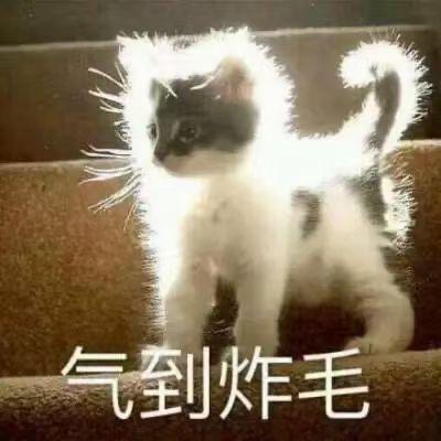 蜡笔小（燊Shen）