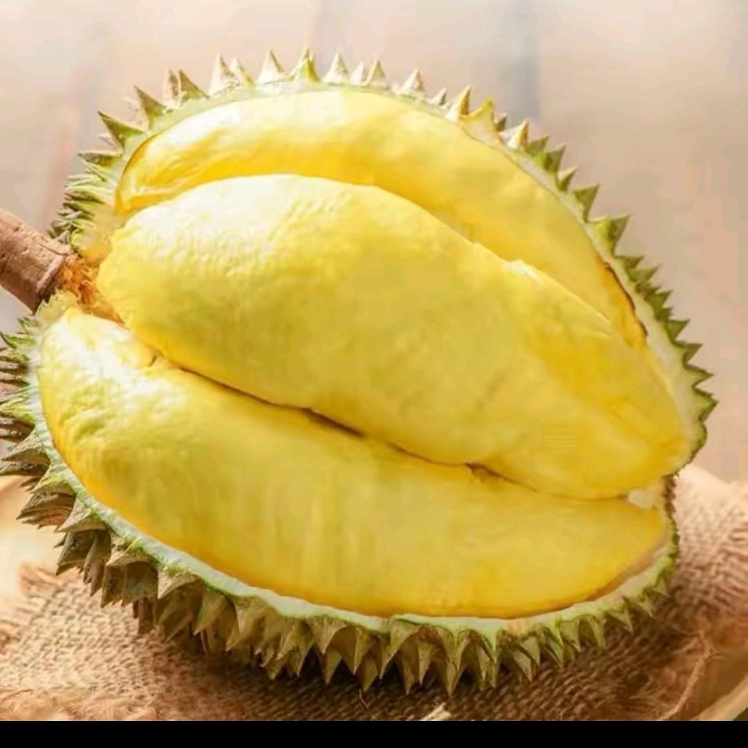 寻一味莒南五中店