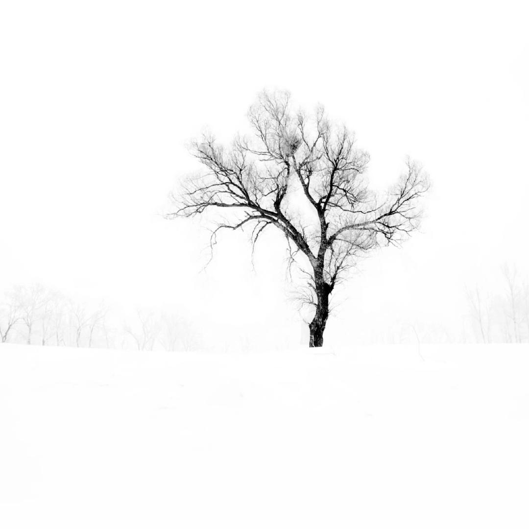 我不知道取什么名字