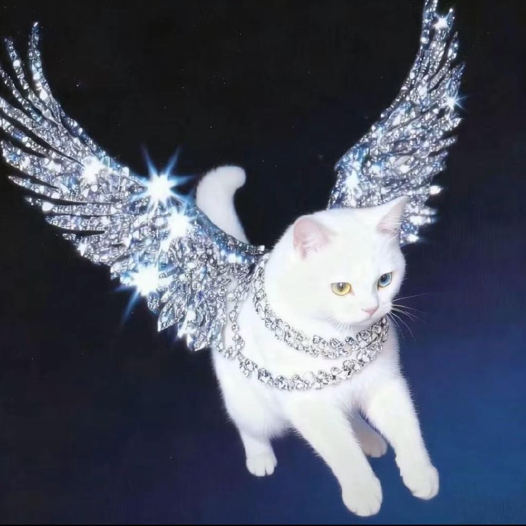 怎么又下禹🌧️