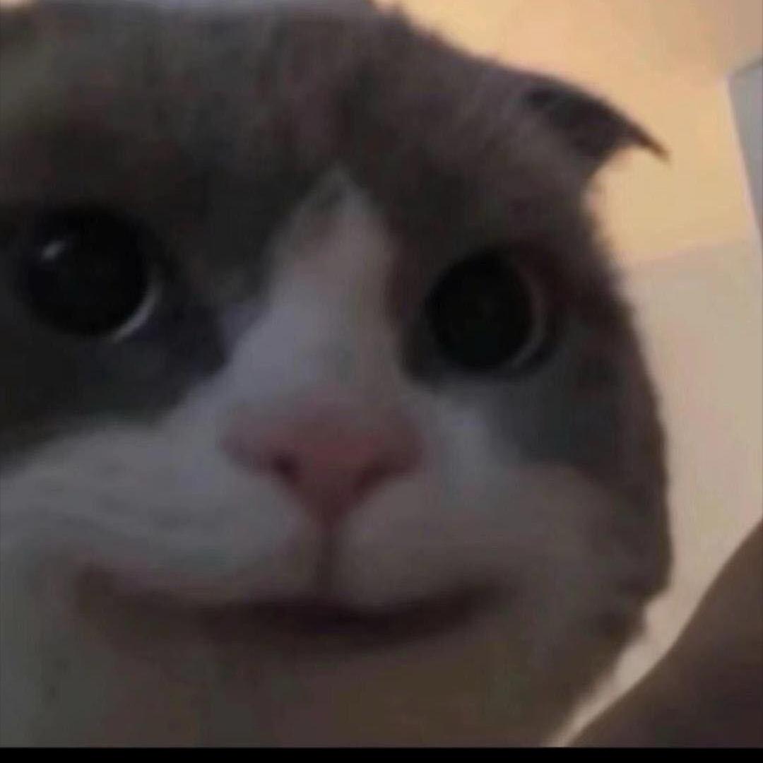 面夫