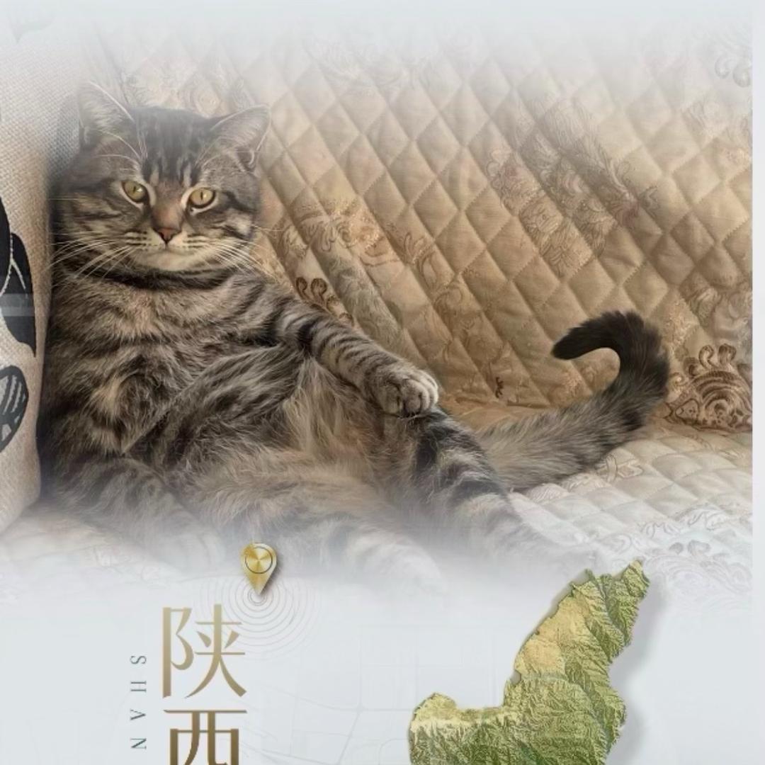 笑对人生