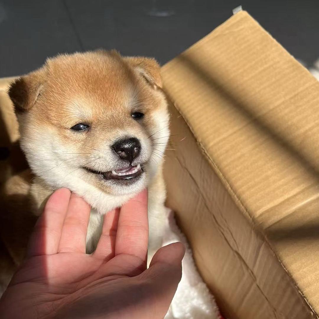 乌木威尔维恩恩耶尔吐温威乌温穆本欧萨斯