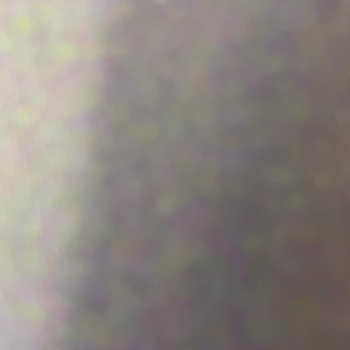 猫男