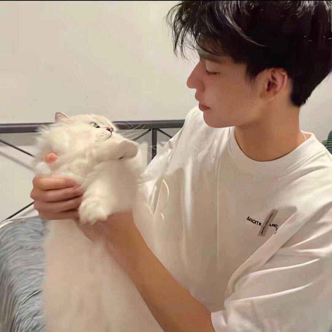 荃亮（战狼🐺版）