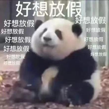 番茄爱西红柿打tomato