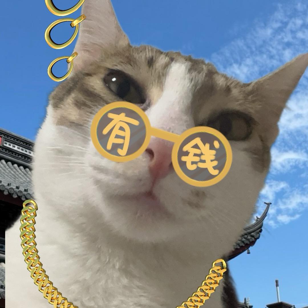 波妞🐬