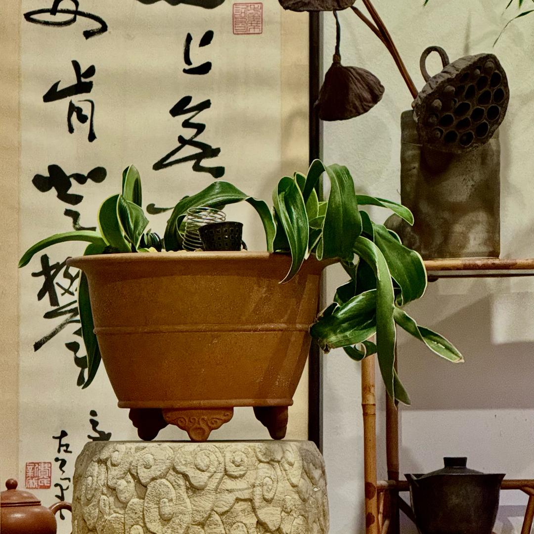 兰石斋