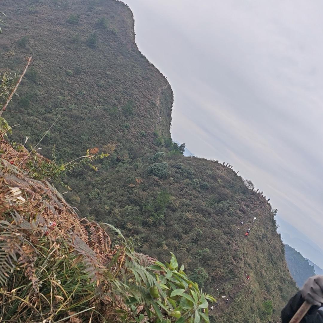 人间清醒