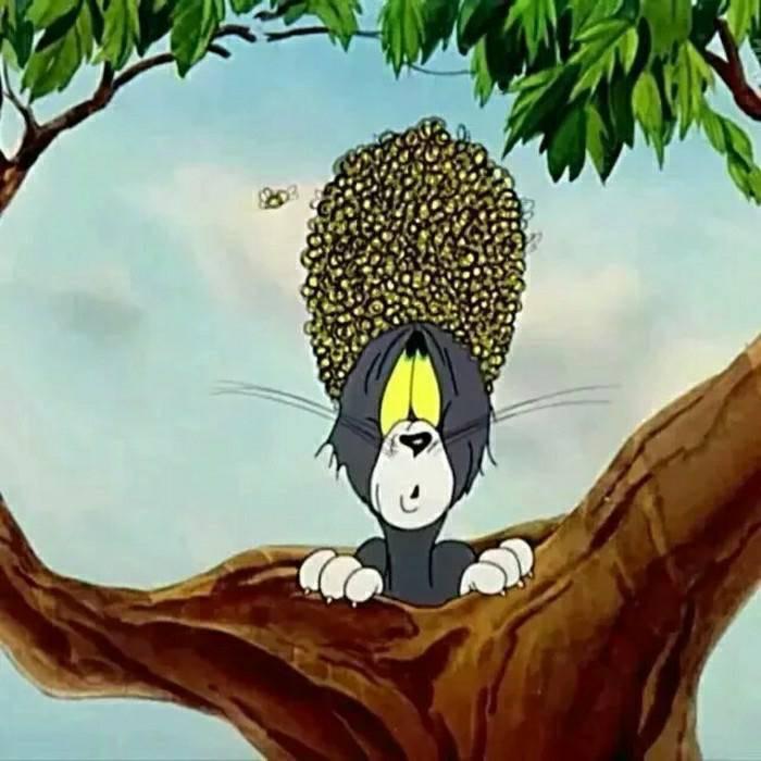 ㅤㅤㅤㅤㅤㅤㅤㅤ小新