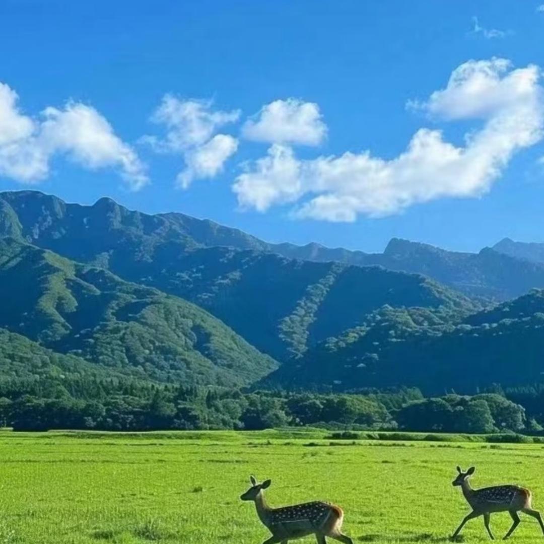 用户
