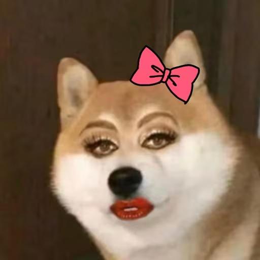 卡尔小杰