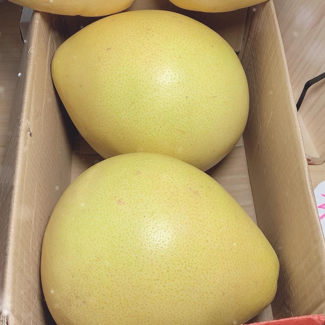 向阳