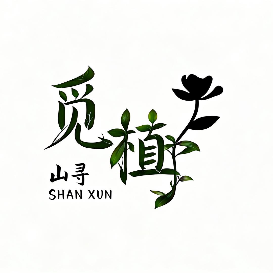 三寻觅植