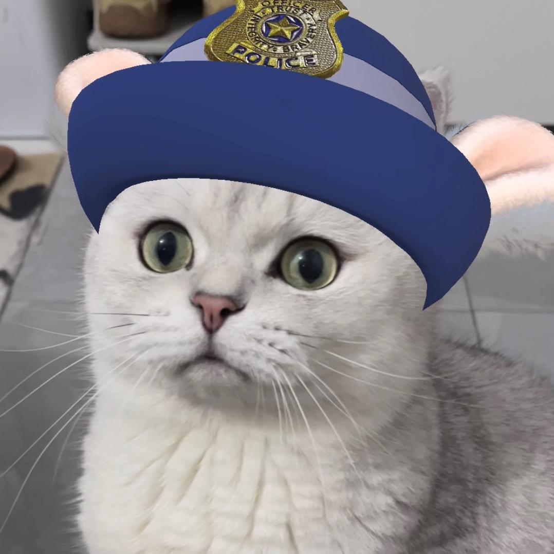 小小橙