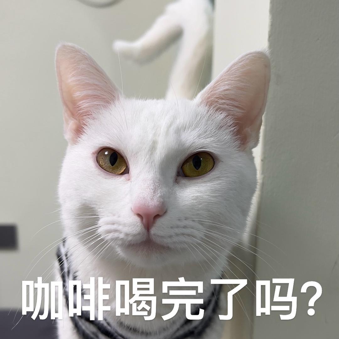 热美式日记☕️