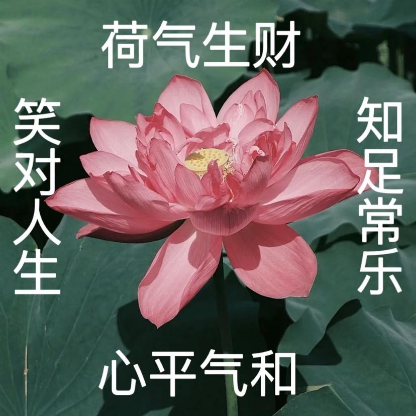 顿顿有肉吃