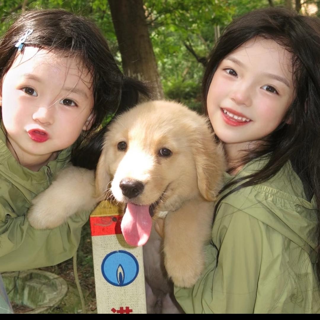 洋芋脑袋🥔