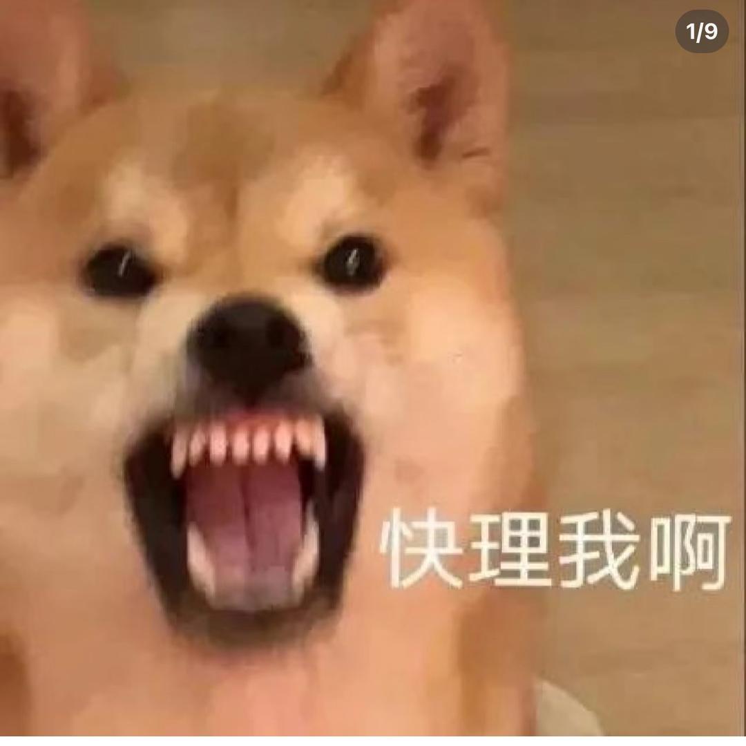 羊羊羊🐑