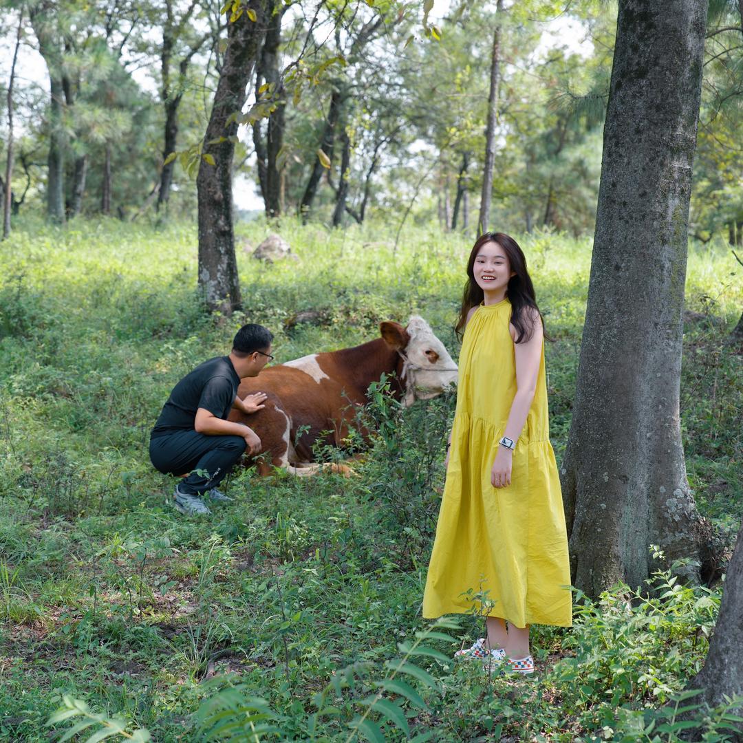 舔锅侠牛羊肉馆官方号