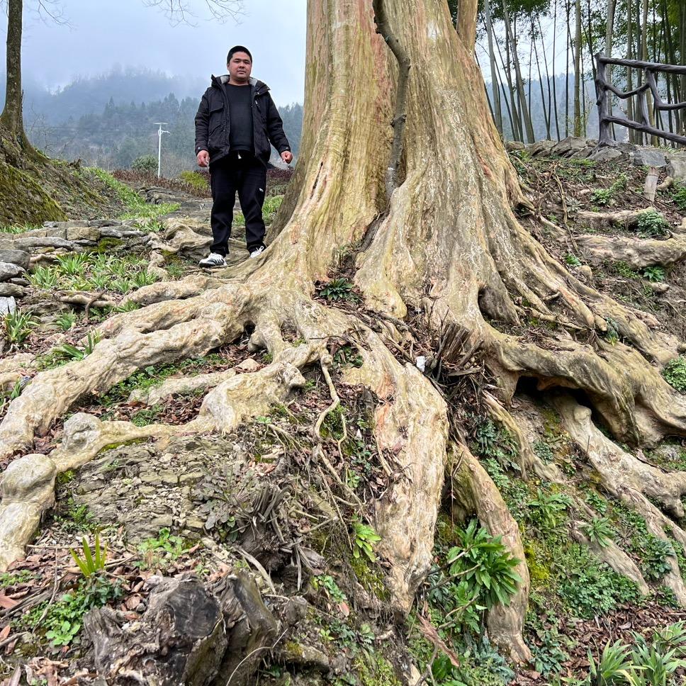 @杨大山……