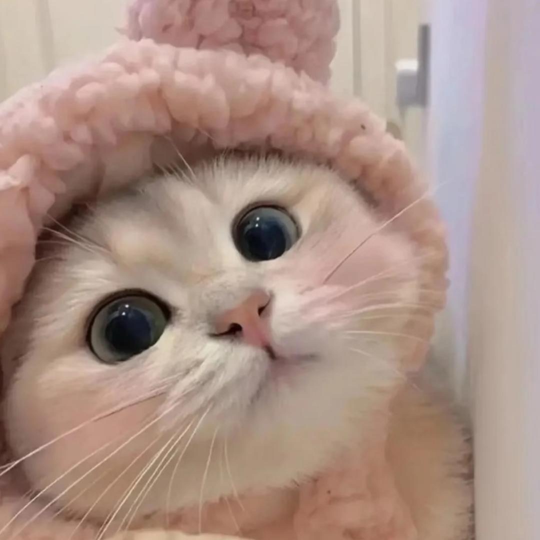 Huiii
