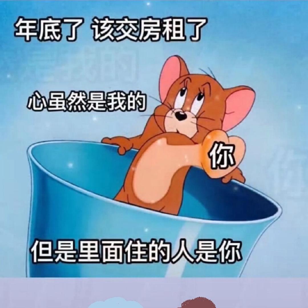 耗子提刀满街找猫