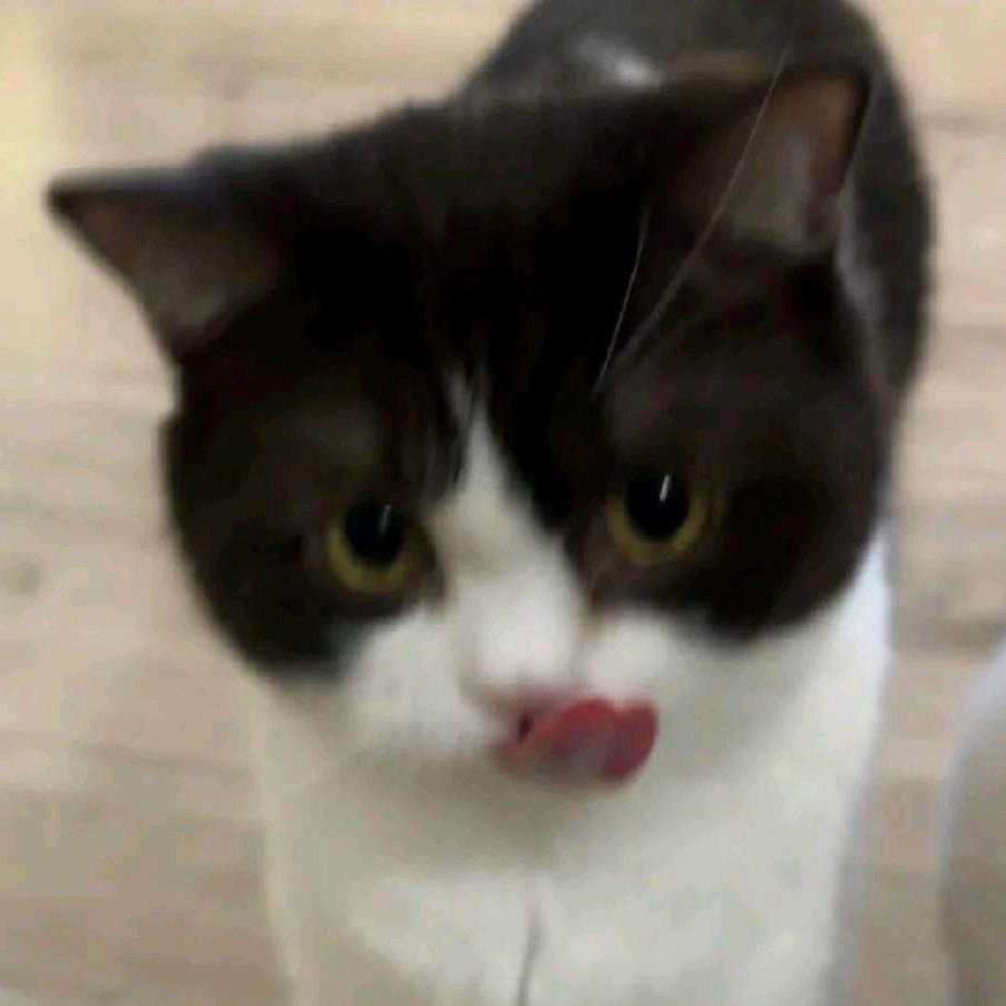 单坤lolm