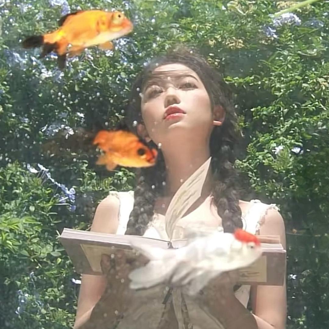 菟崽。