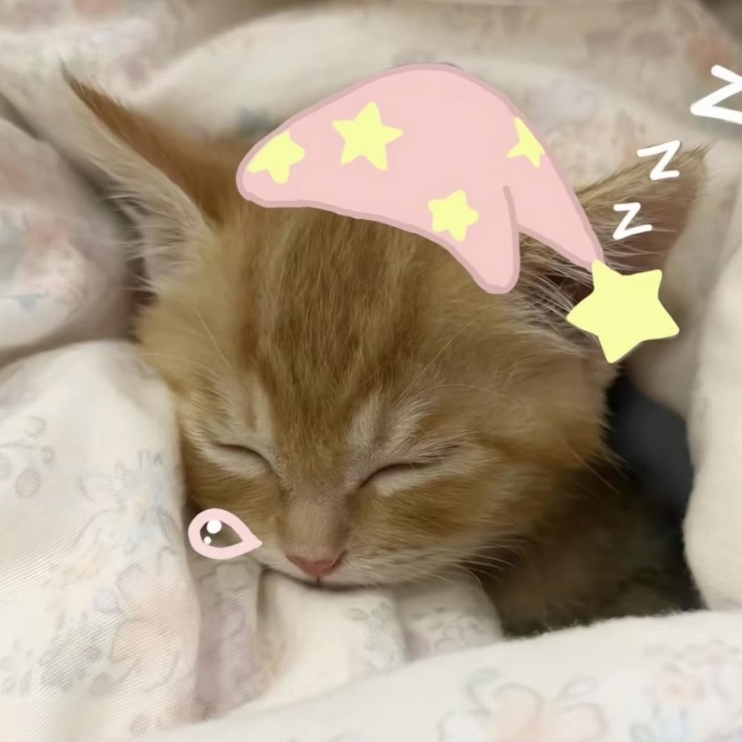 澪夏初