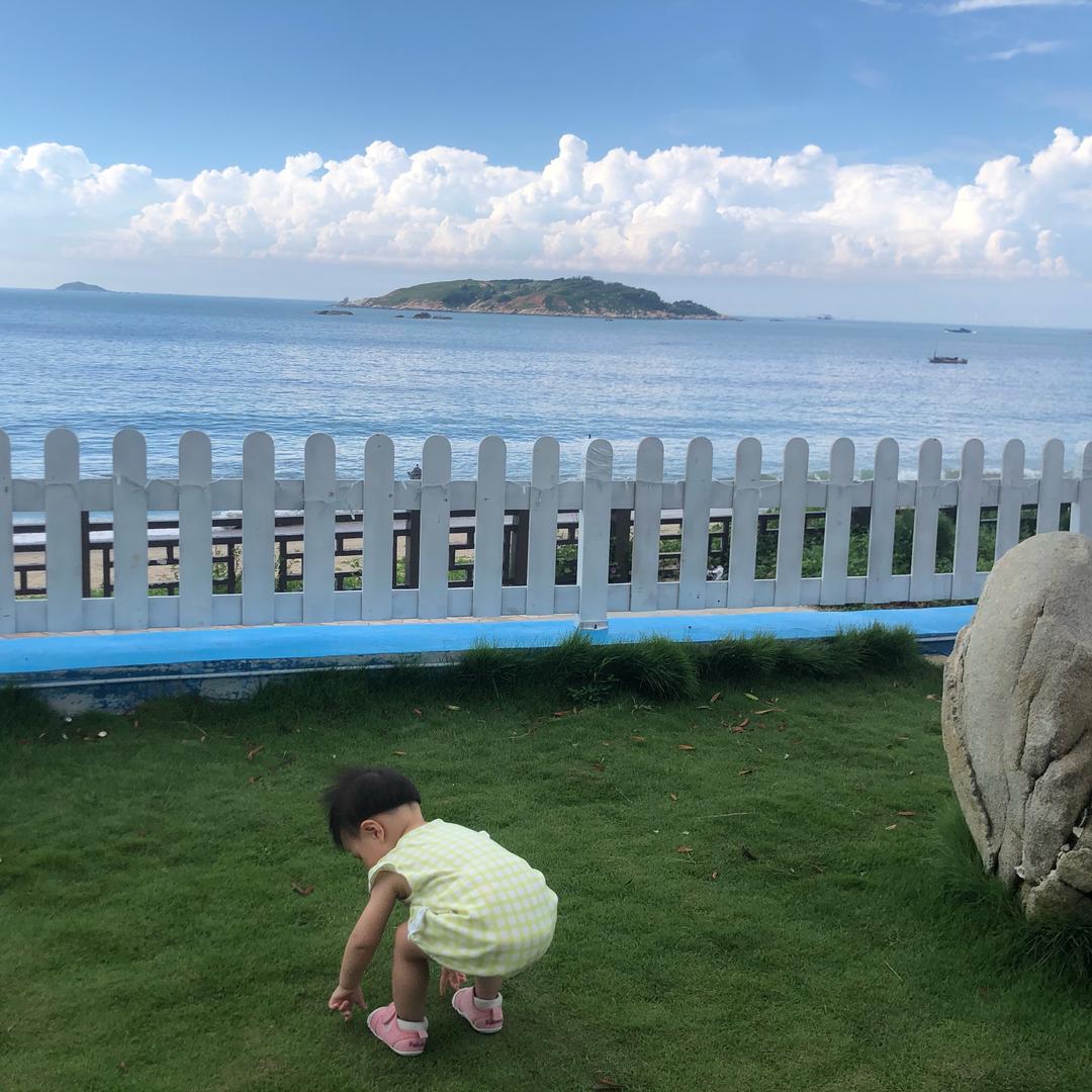 熊走南澳岛