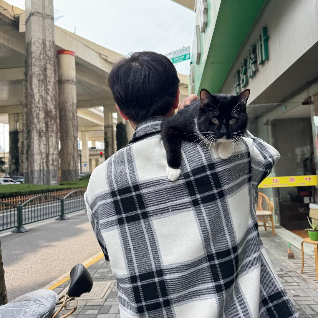 吃货带猫