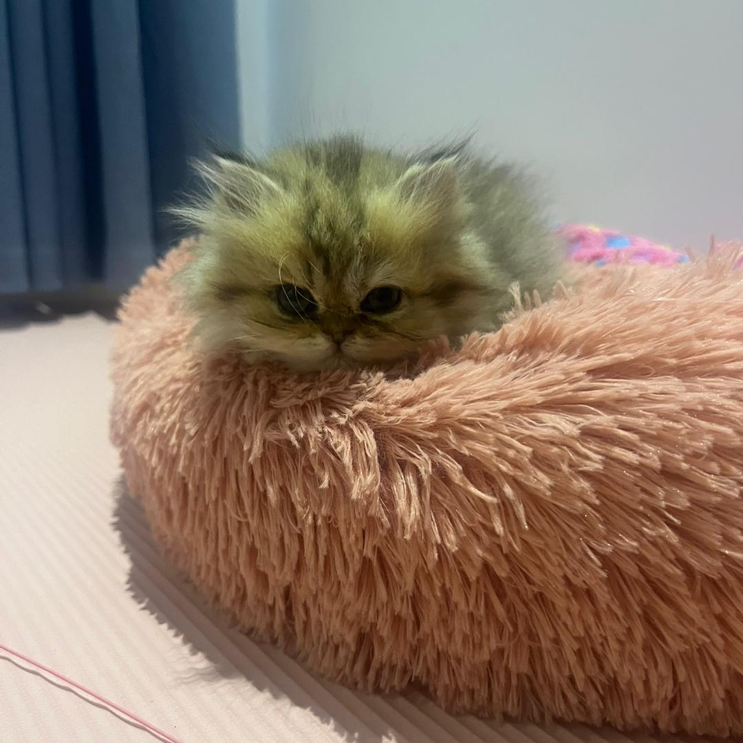 知足❤️常乐