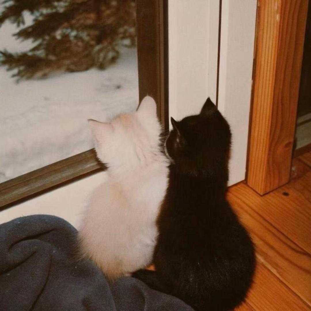 ㅤㅤㅤ7 ㅤ  ㅤㅤㅤㅤ