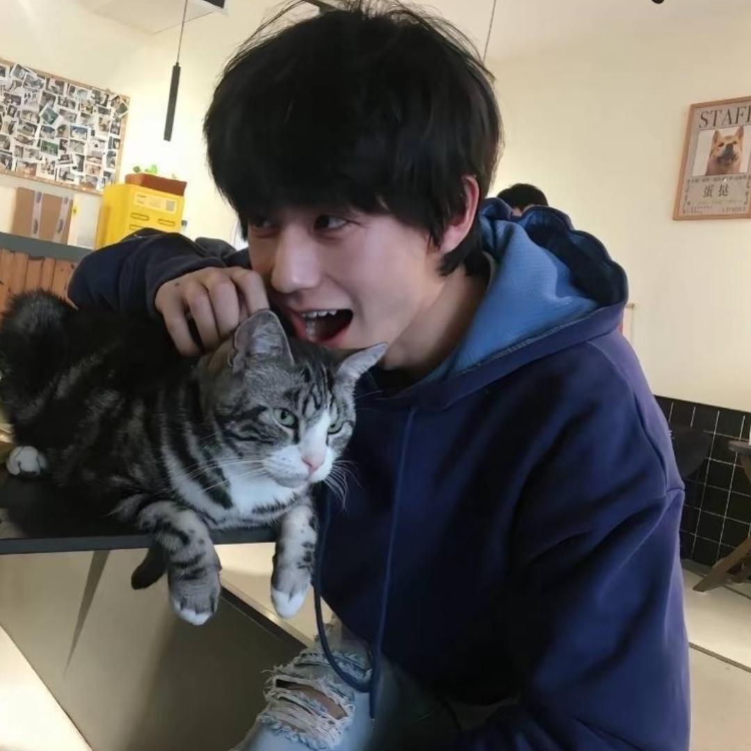 睡觉了zhezhe
