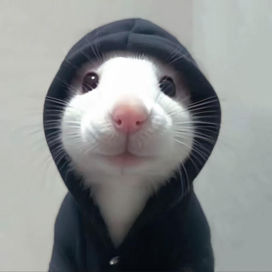 睡觉觉ོ꧔ꦿ